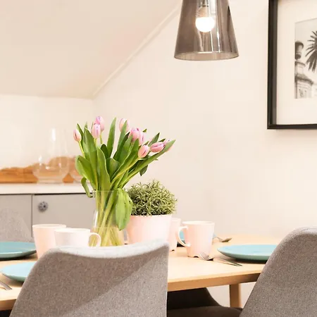 Daire Stylish 3city In By Renters *